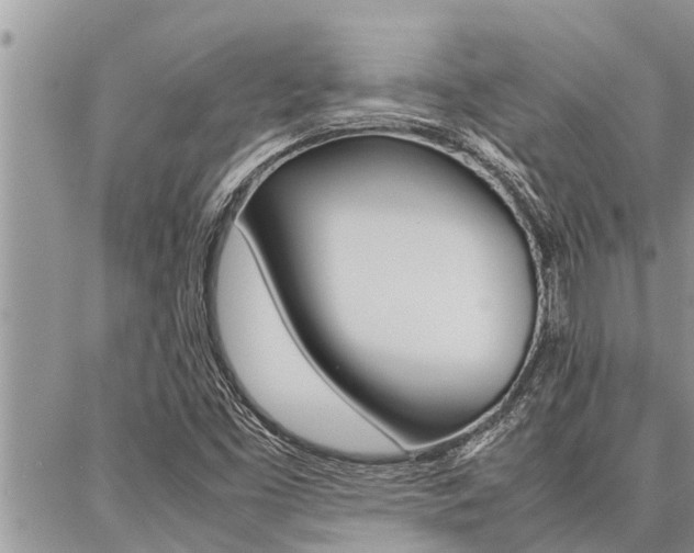 X0000087331453200704200708