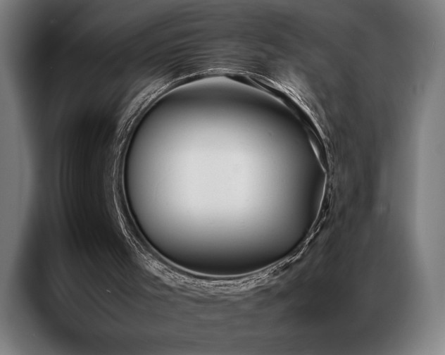 X0000087330001200704201136