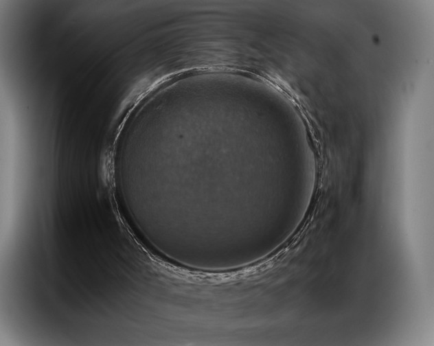 X0000087330002200704201136