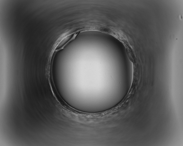X0000087330003200704201136