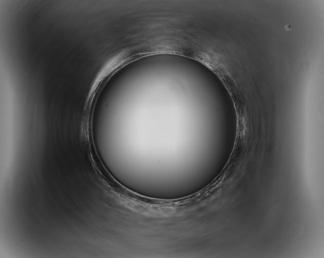 X0000087330004200704201136