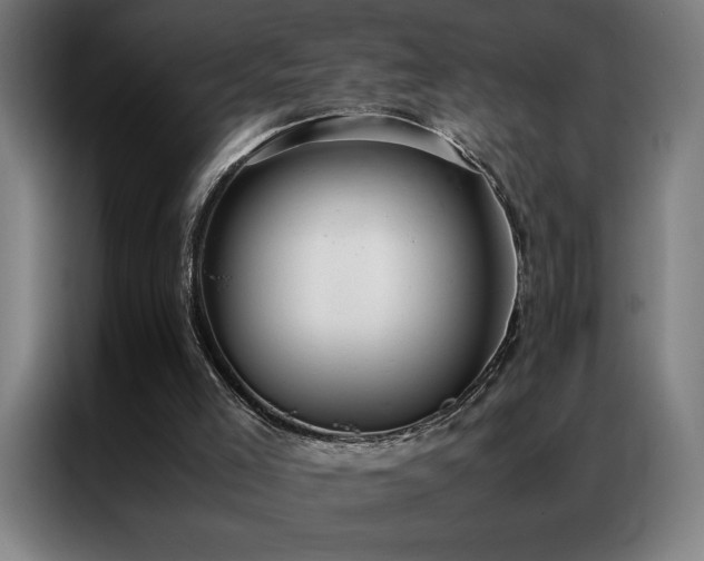 X0000087330005200704201136