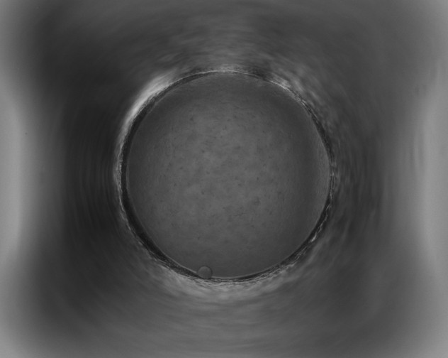 X0000087330006200704201136