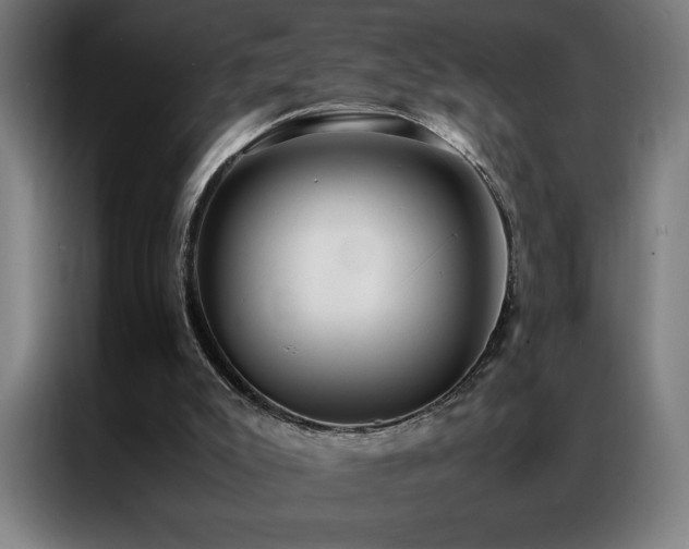 X0000087330007200704201136