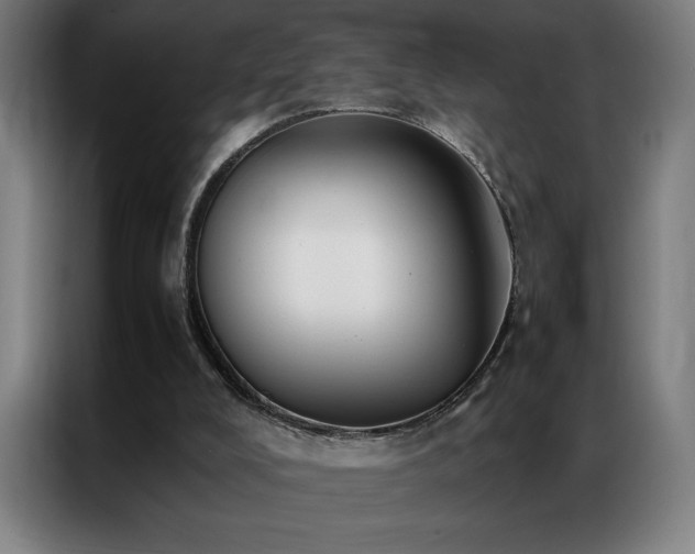 X0000087330008200704201136