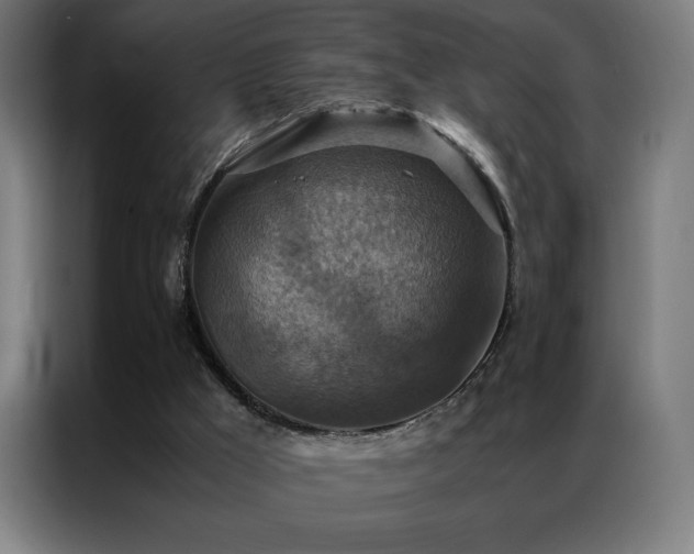 X0000087330009200704201136