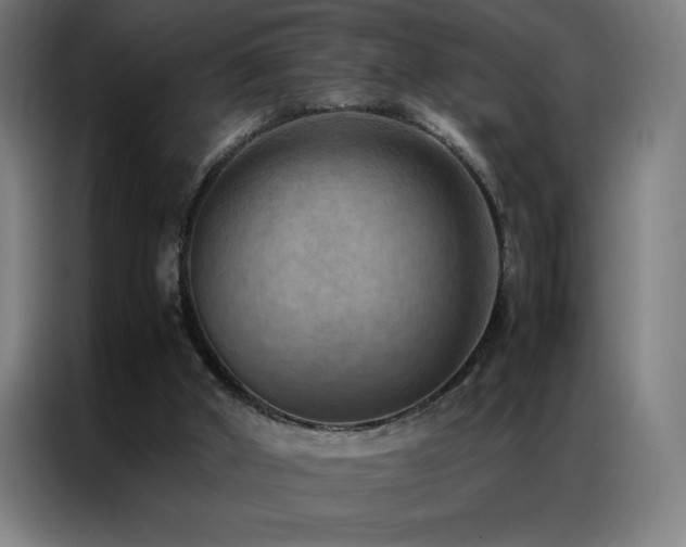 X0000087330010200704201136