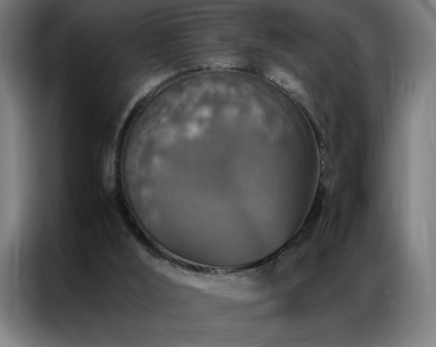 X0000087330012200704201136