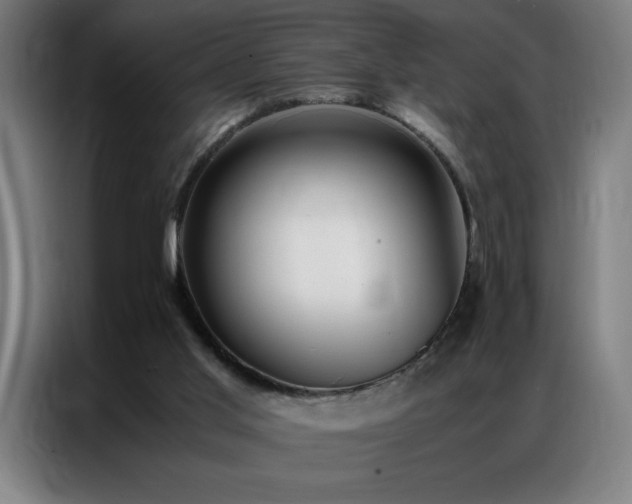 X0000087330013200704201136