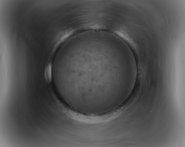 X0000087330014200704201136