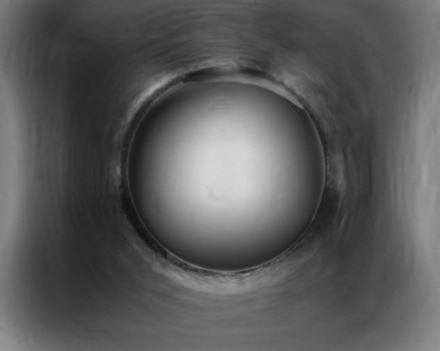 X0000087330015200704201136