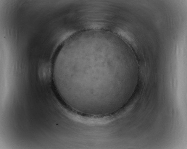 X0000087330016200704201136