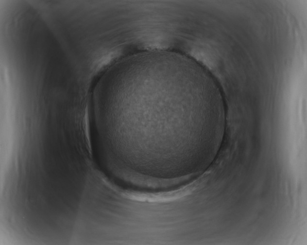 X0000087330017200704201136