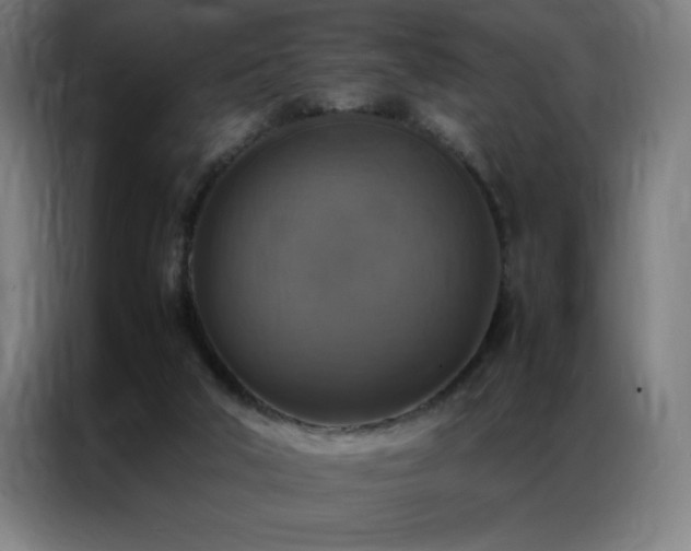 X0000087330018200704201136
