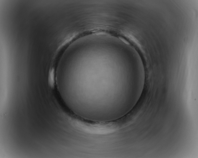 X0000087330020200704201136