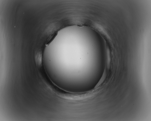 X0000087330021200704201136