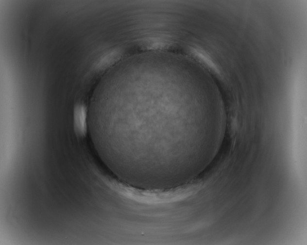 X0000087330022200704201136