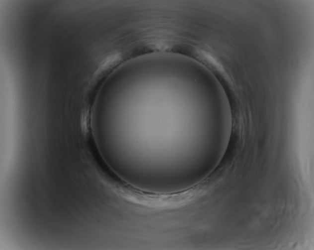 X0000087330023200704201136