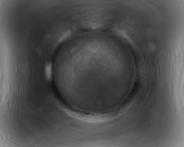 X0000087330024200704201136