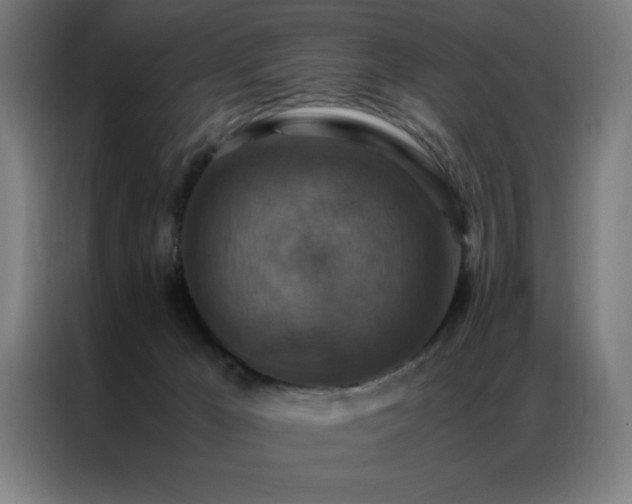 X0000087330029200704201136