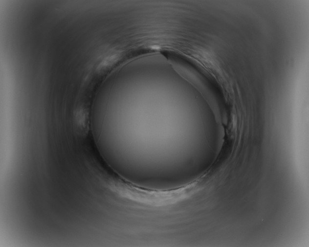 X0000087330031200704201136