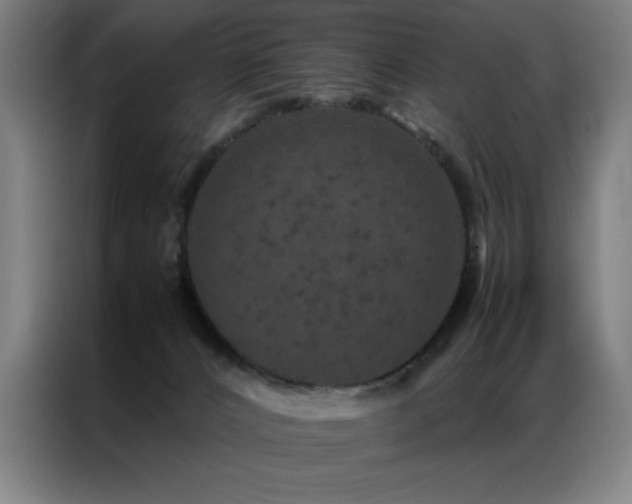 X0000087330032200704201136