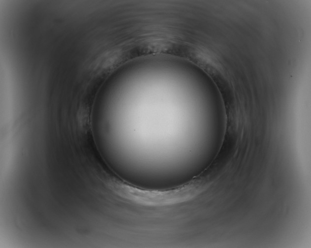 X0000087330034200704201135