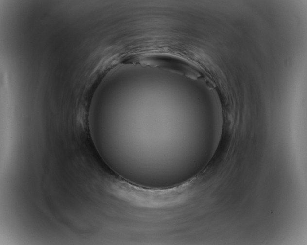 X0000087330035200704201135
