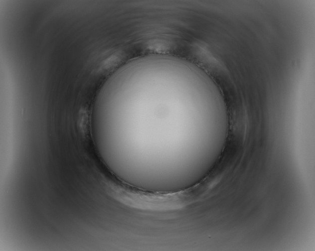 X0000087330036200704201135