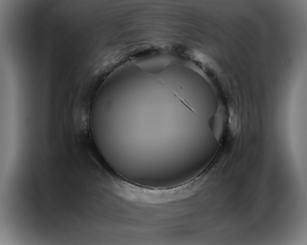 X0000087330039200704201135