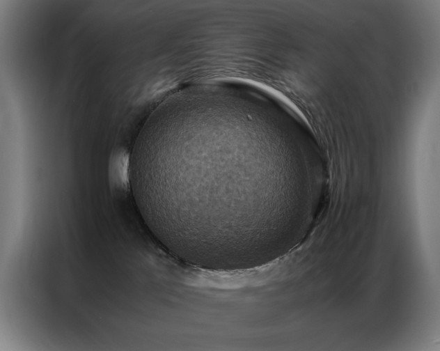 X0000087330041200704201135
