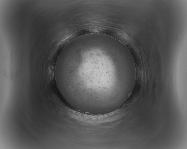 X0000087330043200704201135