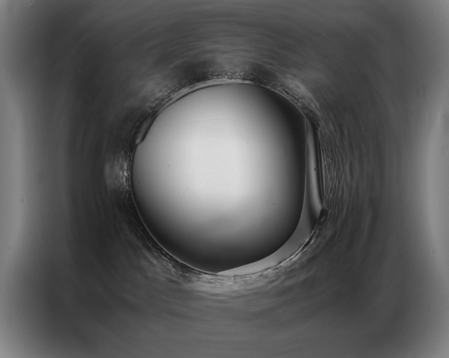 X0000087330045200704201135