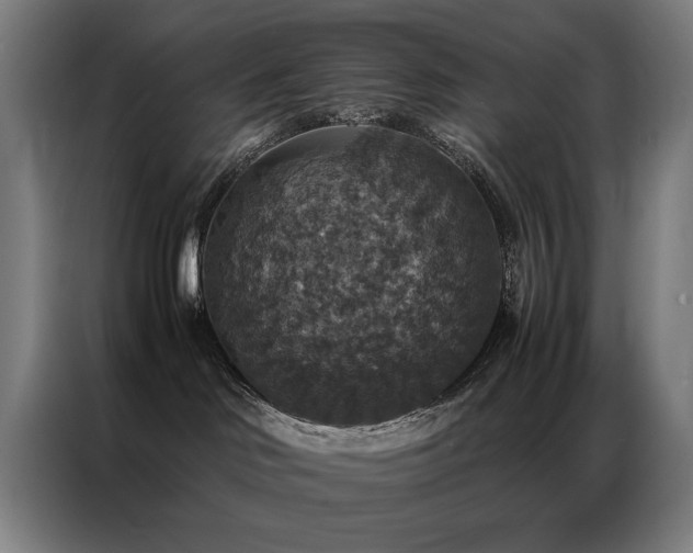 X0000087330046200704201135