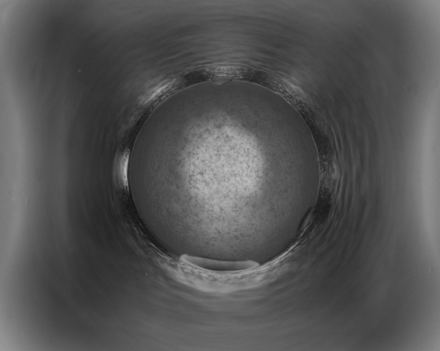 X0000087330047200704201135