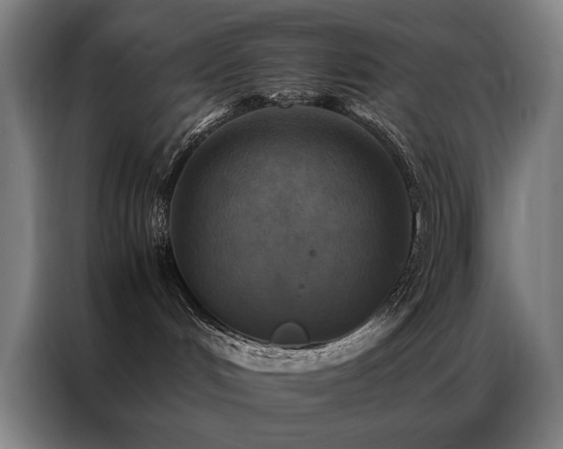 X0000087330048200704201135