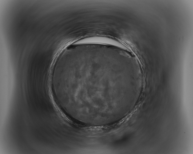 X0000087330049200704201135