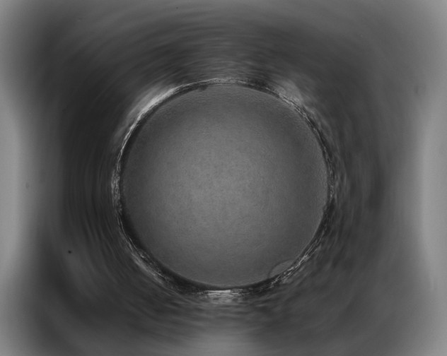 X0000087330050200704201135