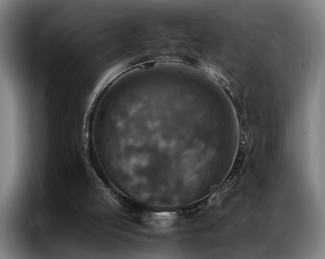 X0000087330053200704201135