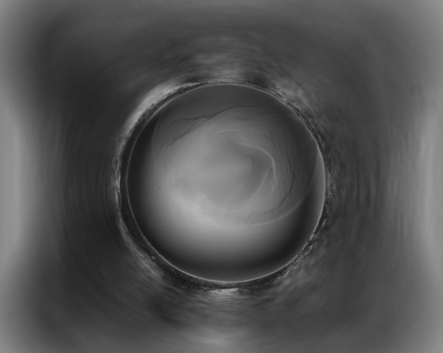 X0000087330054200704201135