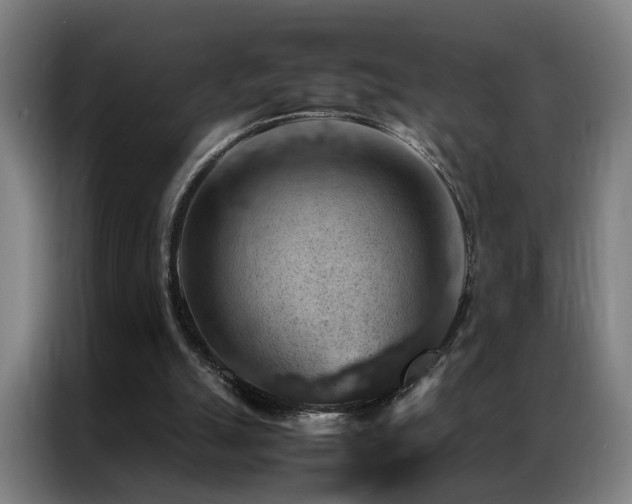 X0000087330055200704201135