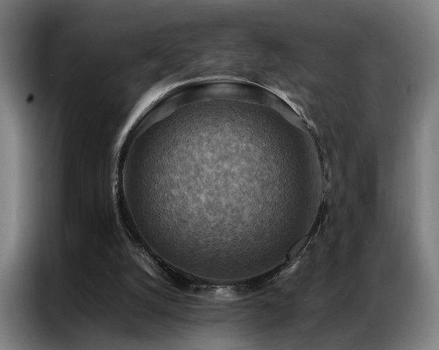 X0000087330056200704201135