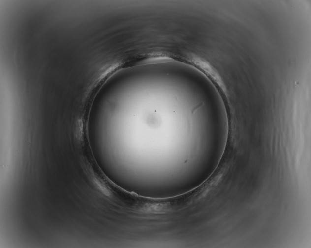 X0000087330057200704201135