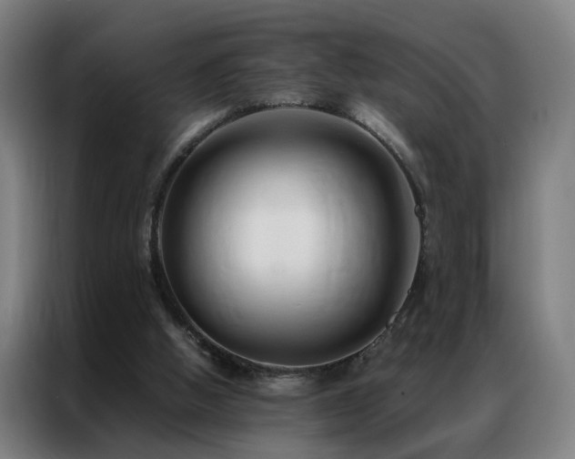 X0000087330058200704201135