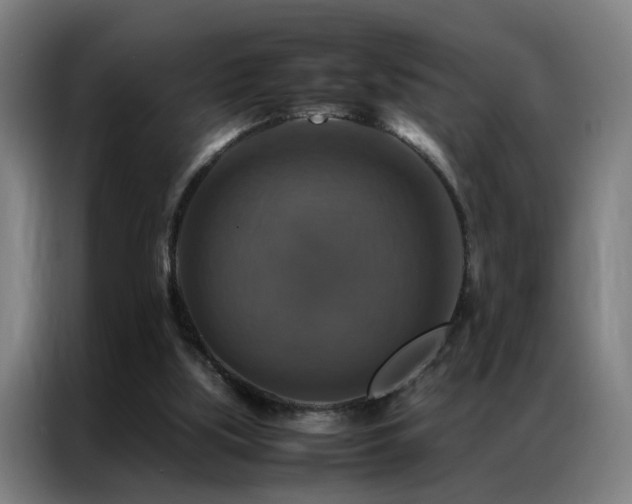 X0000087330059200704201135