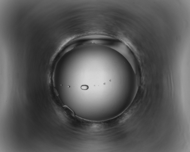 X0000087330060200704201135