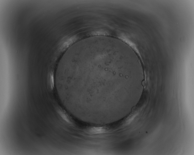 X0000087330061200704201135