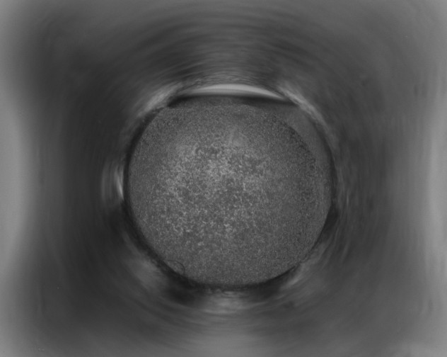 X0000087330062200704201135