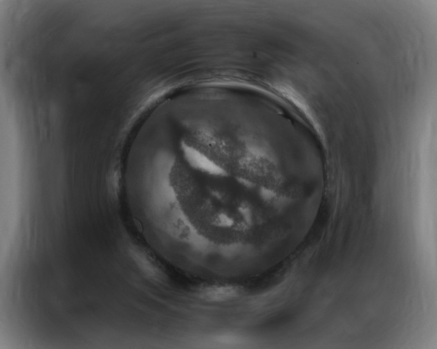 X0000087330063200704201135