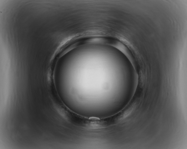 X0000087330064200704201135